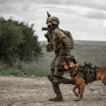 Between Explosions and Wounded: Story of Saving Pumbaa in Gaza
