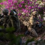 Updates from the IDF Today