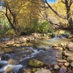 Northern Israel: National Parks Have Begun Opening for Visitors