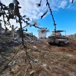 Nature’s Resilience: Almond Trees Bloom in Gaza