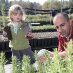 From ‘Iron Swords Forest’ to Tree Planting and Nursery Tours: Tu Bishvat Activities Across Israel