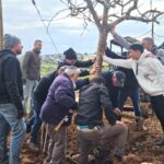 “Kibbutzniks” and “Settlers” Choose Unity,  as Trees from Be’eri are Replanted in Otniel