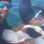 Weekend Animal Rescue Operations Save a Flamingo at Sea and a Monkey in a Closet