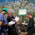 Blossoms and Blessings: The Hebrew Month of Nisan