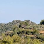 A Path for the Wild Opens Through the Galilee