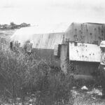 Legacy of the Three Convoys Lives On in Israel’s National Story