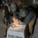 Police Find Lemur and Illegal Wildlife While Investigating Bombing