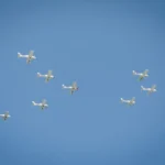 Independence Day Flyover Dedicated to the Hostages and Their Families