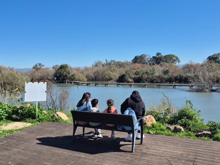 Parks and Trails Fill Up as Thousands Head Outdoors for Passover