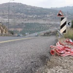 Minister Strook Demands Road Policy Reform in Wake of Shooting