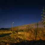 Knesset Advances Bill to Increase Penalties for Breaking Into Military Bases