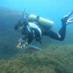 Volunteers Help Monitor Israel’s Coastal Ecosystems