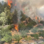 Firefighters Renew the Fight, as Fire Breaks Out Again Near Jerusalem