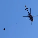 Drama In The Stream Ends With A Safe Rescue