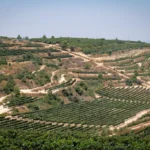 History, Nature, and National Roots: Gush Etzion Tourism Reopens to Visitors