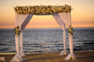 A Wedding, a Birth and a Memorial: Bereaved Families Transform Grief into Life