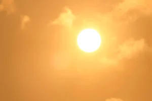 One Man’s Appeal to Show Kindness in the Scorching Heat