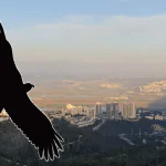 נשר עולה על המפה העולמית: בחירה יוקרתית לתוכנית מנהיגות עירונית