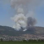 סיוע חירום לחקלאי הצפון: משרד החקלאות במבצע מימוש זכויות