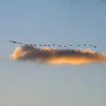 תחזית מזג האוויר: תחול ירידה קלה בטמפרטורות