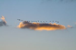 מזג אוויר: מעונן חלקית וטמפרטורות רגילות לעונה