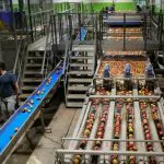 הלמ"ס: עלייה בייצור התעשייתי בישראל בחודשים מרץ-מאי 2024