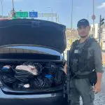 210 ק"ג: משמר הגבול סיכלו הברחה באזור ירושלים