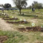 קק"ל מקצה 4 מיליון ש"ח לשדרוג אתר הזיכרון למסיבת הנובה