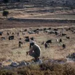 האירוע הסתיים – אבל המחלוקת רק החלה: מה קרה בבנימין