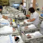 השמות שעשו את שנת 2024: מי הגיע למקום הראשון?