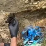 צפו: כך חשפו השוטרים נשק לפני שימוש פלילי