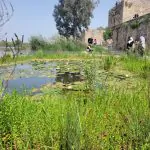 סוף שבוע נעים, מיום שלישי עומסי החום ישובו | התחזית