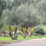 תחזית מזג האוויר: עלייה קלה בטמפרטורות