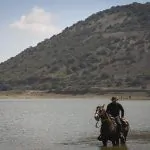 בשורות חמות: מזג האוויר ממשיך להיות לא אופייני