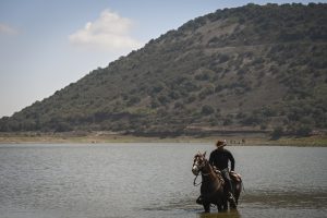 בשורות חמות: מזג האוויר ממשיך להיות לא אופייני