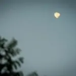 צה"ל מאשר: הותקף המשגר ממנו נורתה הרקטה