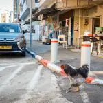 העירייה החליטה: עושים הכל בשביל שתהיה חנייה בעיר