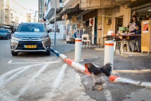 העירייה החליטה: עושים הכל בשביל שתהיה חנייה בעיר