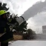 השריפות בקליפורניה: האם נמצא הפתרון למניעת התופעה?