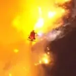 החוויה הטראומטית של הכוכבות הישראליות בשריפת הענק