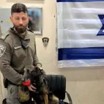 אוגי תפסה 16 ק"ג חשיש, אלפי כדורי אקסטזי ואקדח