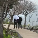 גשם בדרום ובמרכז: תחזית מזג האוויר