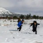 בגולן מצפים לשלג: "המועצה וגופי החירום נערכים"