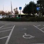 בדיקה מחודשת: משרד התחבורה יזמן מאות אלפי מחזיקי תו נכה