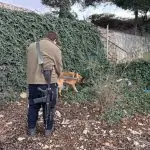 המשטרה מבקשת את עזרת הציבור באיתור שלמה בן ה-12