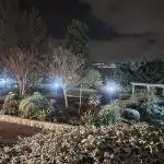 שלג בירושלים ובצפון | כל התיעודים והפרטים