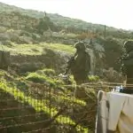 מול הטרור המשתולל: המענה הביטחוני המיידי שיקבלו חקלאי יו"ש