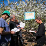 ברכת האילנות: הנוסח, הזמן וההלכות החשובות
