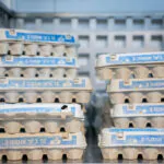 105,000,000 ביצים לפסח: התוכנית שתבטיח אספקה רציפה