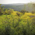 חם מהרגיל – אבל הגשם יחזור בקרוב: תחזית מזג האוויר